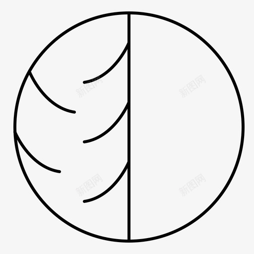 皮肤科干性皮肤皮肤护理图标svg_新图网 https://ixintu.com 干性 皮肤 皮肤护理 皮肤科 细纹 美容