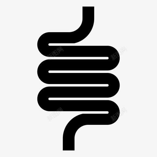 肠解剖学肠道图标svg_新图网 https://ixintu.com 人体 健康 消化 肠道 解剖学 部分