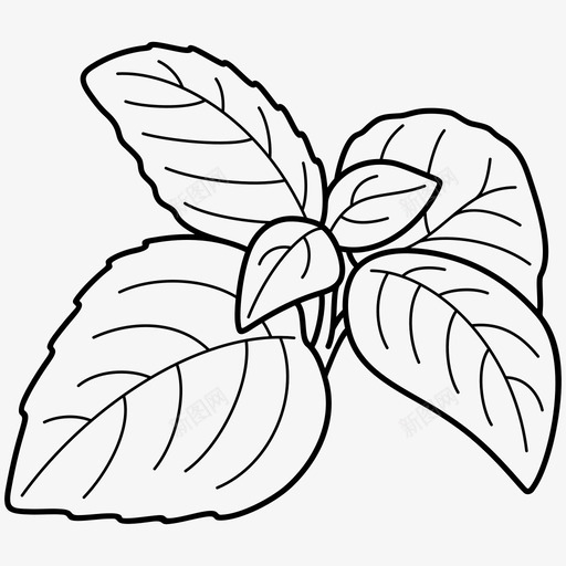 罗勒叶功效治愈草药svg_新图网 https://ixintu.com 罗勒叶 功效 治愈 草药 健康 益处 维生素