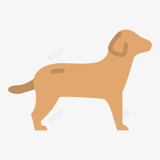 犬类兽医75扁平svg_新图网 https://ixintu.com 犬类 兽医 扁平