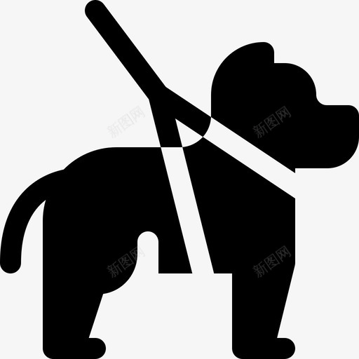 服务犬残疾人援助19已满svg_新图网 https://ixintu.com 服务 残疾人 援助 已满