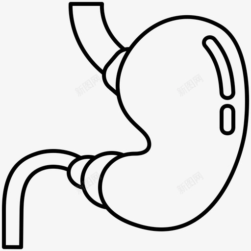 胃腹部消化道svg_新图网 https://ixintu.com 腹部 消化 食道 胃肠 人体 器官