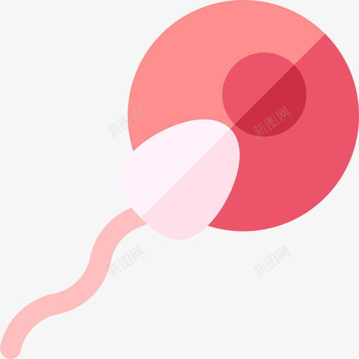 受精人体13扁平svg_新图网 https://ixintu.com 受精 人体 扁平