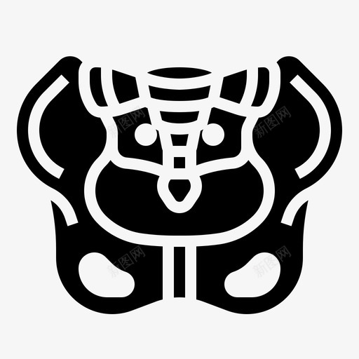 骨盆人体器官19字形svg_新图网 https://ixintu.com 骨盆 人体 器官 字形