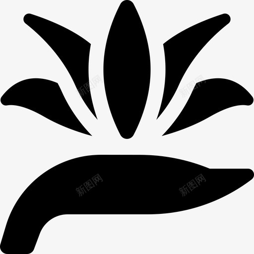 天堂鸟热带花卉设计2填充svg_新图网 https://ixintu.com 天堂鸟 热带 花卉 设计 填充