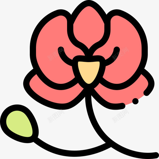 兰花自然花1线形颜色svg_新图网 https://ixintu.com 兰花 自然 线形 颜色