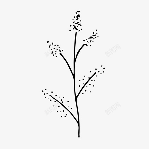 植物手工绘制svg_新图网 https://ixintu.com 植物 手工 绘制