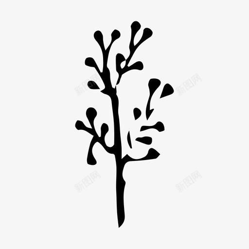 花苗夏svg_新图网 https://ixintu.com