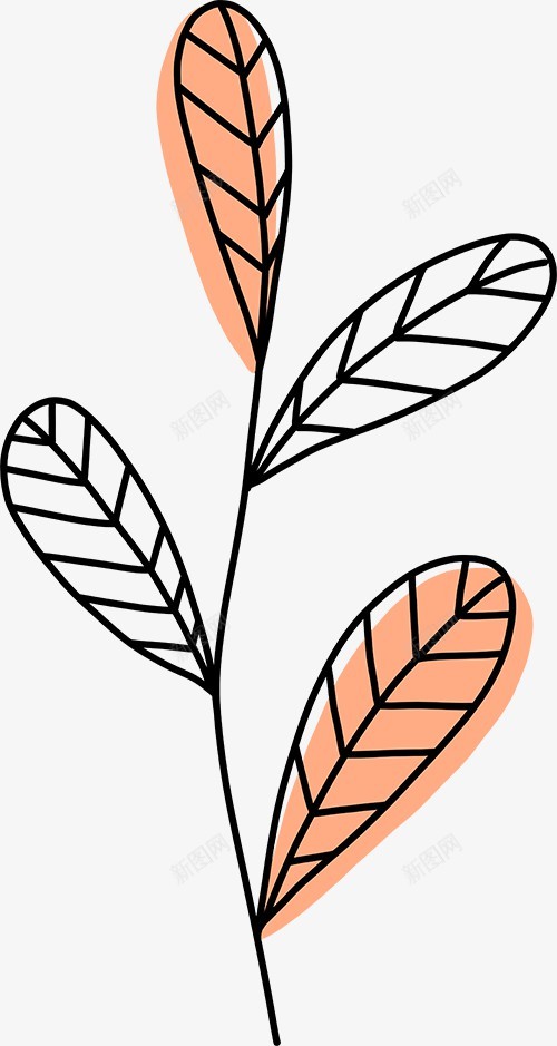 手绘植物插画图免扣绿植高清图片png免抠素材_新图网 https://ixintu.com 手绘 植物 插画 画图 免扣 绿植 高清 图片