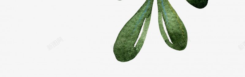 水彩手绘绿色植物叶子花藤美工合集格式收集持续更新png免抠素材_新图网 https://ixintu.com 水彩 手绘 绿色植物 叶子 花藤 美工 合集 格式 收集 持续 更新