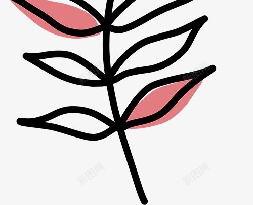 手绘植物插画图免扣绿植高清图片png免抠素材_新图网 https://ixintu.com 手绘 植物 插画 画图 免扣 绿植 高清 图片