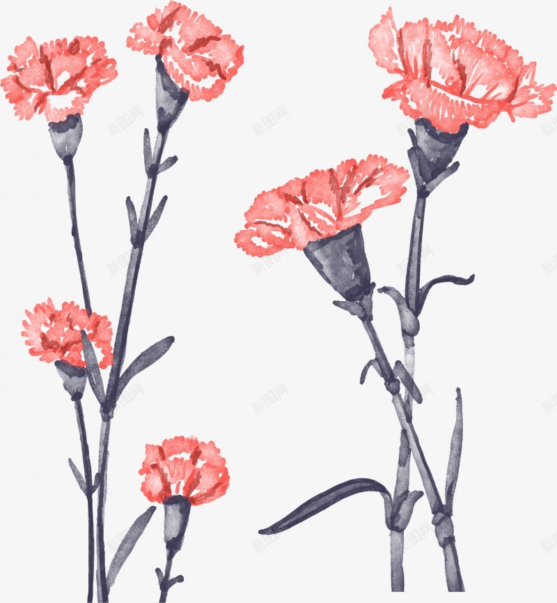 康乃馨母亲节感恩节32插画母亲节父亲教师节png免抠素材_新图网 https://ixintu.com 母亲节 康乃馨 感恩节 插画 父亲 教师节