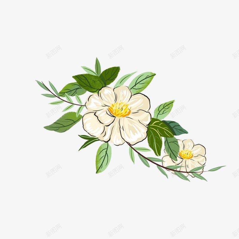 手绘山茶花植物植物png免抠素材_新图网 https://ixintu.com 植物 手绘山 茶花
