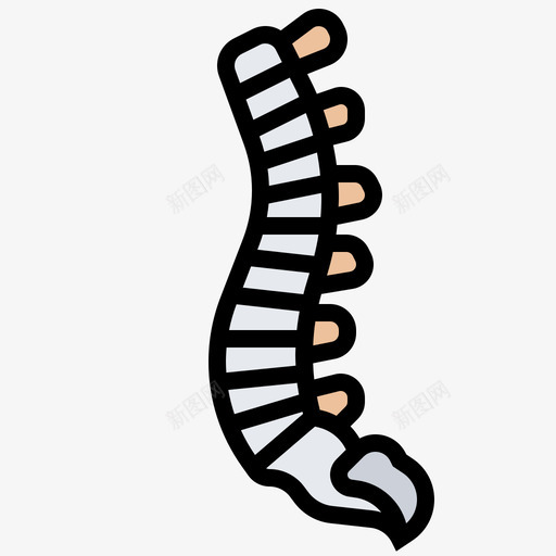 脊椎人体器官17线状颜色svg_新图网 https://ixintu.com 脊椎 人体 器官 线状 颜色