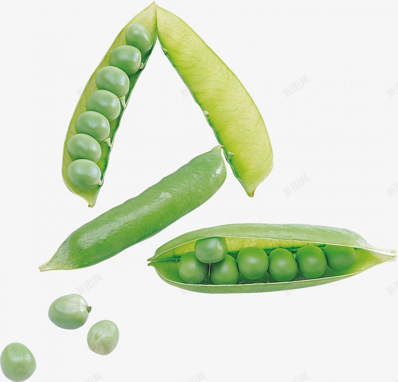 豌豆P还有一丢电商图png免抠素材_新图网 https://ixintu.com 豌豆 还有 一丢 电商
