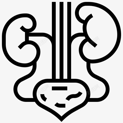肾人体器官15直系svg_新图网 https://ixintu.com 人体 器官 直系