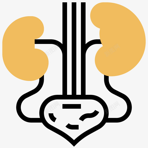 肾人体器官18黄影svg_新图网 https://ixintu.com 人体 器官 黄影