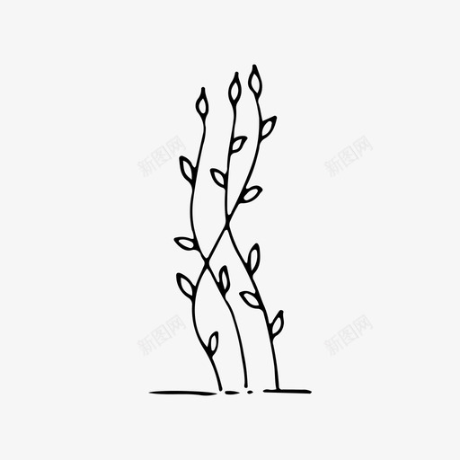 植物花草药svg_新图网 https://ixintu.com 植物 草药 叶子 自然