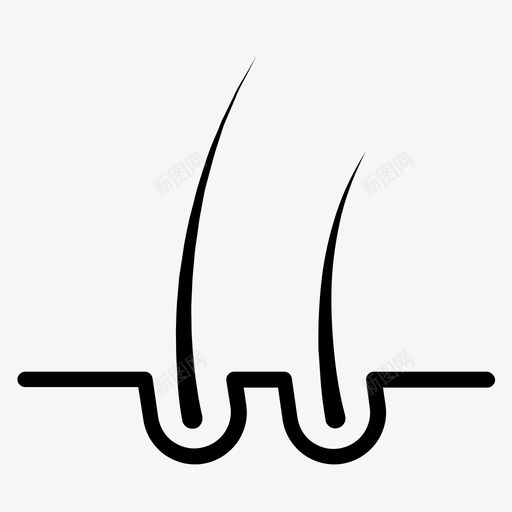 毛发解剖学生物学svg_新图网 https://ixintu.com 毛发 解剖学 生物学 多毛 人类