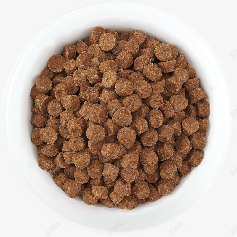 比瑞吉皇家宠物狗粮猫粮颗粒实物透明高清更多优质采集png免抠素材_新图网 https://ixintu.com 瑞吉 皇家 宠物狗 猫粮 颗粒 实物 透明 高清 更多 优质 采集