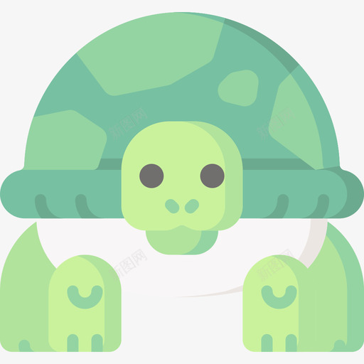 海龟宠物67扁平svg_新图网 https://ixintu.com 海龟 宠物 扁平