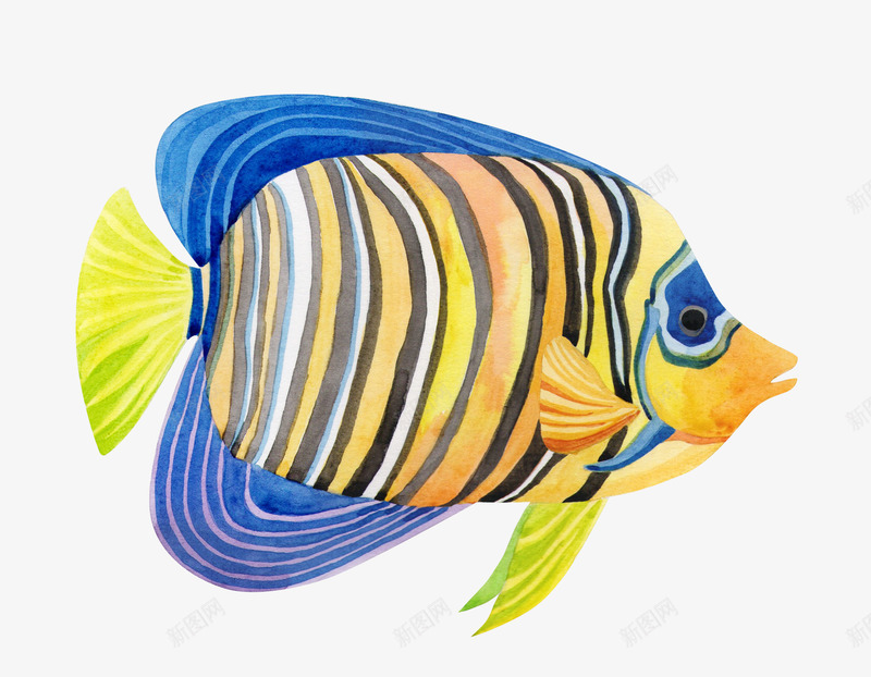 海底世界鱼动物北欧png免抠素材_新图网 https://ixintu.com 海底 世界 动物 北欧