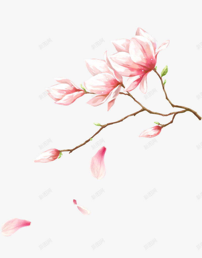 元旦圣诞节双旦透明底面抠图PNS透明底png_新图网 https://ixintu.com 透明 元旦 圣诞节 双旦 底面 抠图 PNS