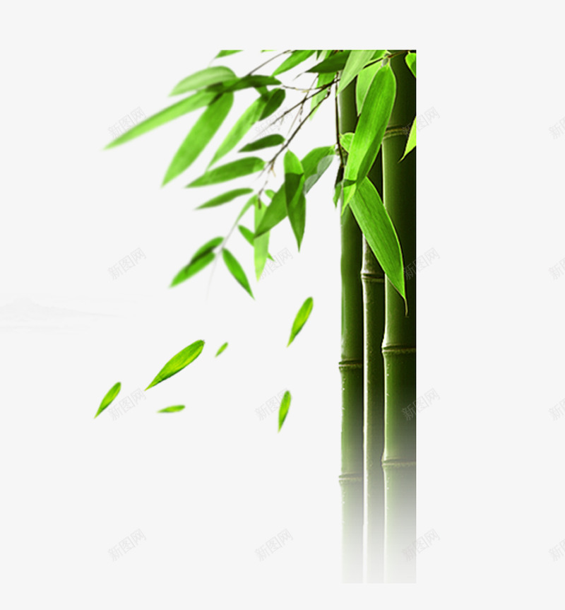 端午节透明底图竹叶PNS透明底png_新图网 https://ixintu.com 透明 端午节 底图 竹叶 PNS