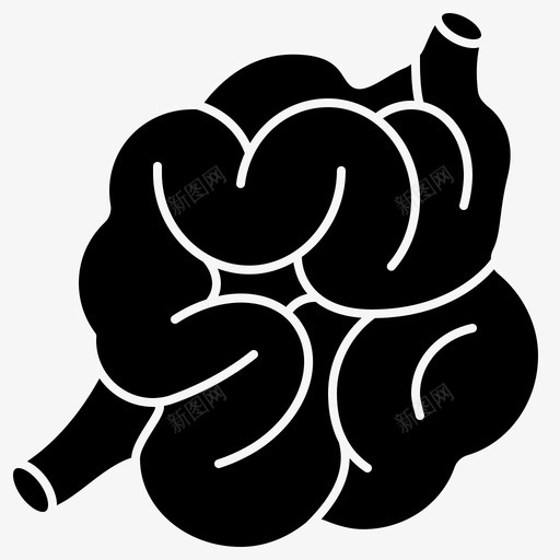 小肠肠道消化svg_新图网 https://ixintu.com 小肠 肠道 消化 系统 人体 器官 图示