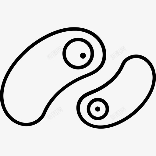 细胞细胞质人svg_新图网 https://ixintu.com 细胞 细胞质 医学 细胞核 生物学
