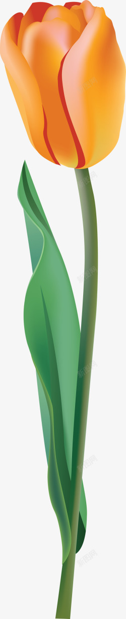 tulip90117153501手绘卡通鲜花植物类素材