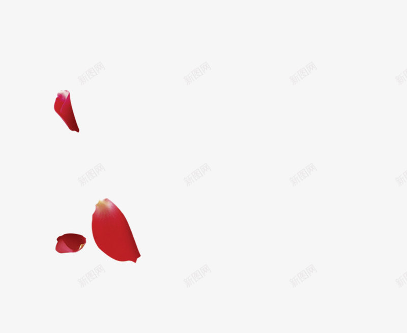 花瓣玫瑰花瓣樱花桃花飘落飘洒散落前景花瓣点缀前景点png_新图网 https://ixintu.com 花瓣 前景 玫瑰 玫瑰花 樱花 桃花 飘落 飘洒 散落 点缀 景点