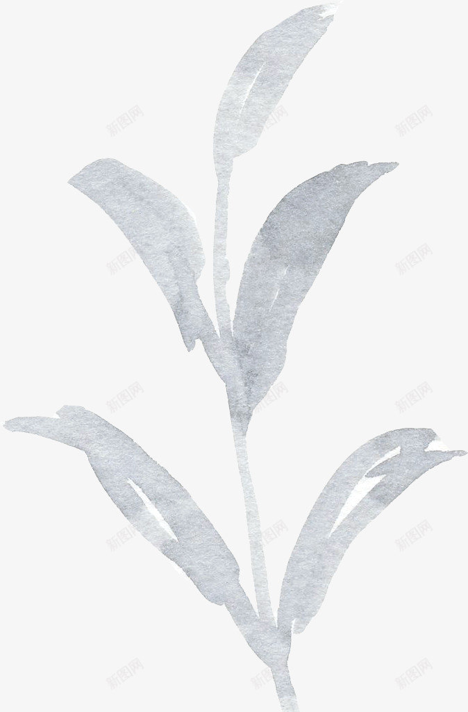 彩黑白波西米亚牡丹花卉剪贴画婚礼请柬设计PS24彩png免抠素材_新图网 https://ixintu.com 黑白 波西 米亚 牡丹 牡丹花 花卉 剪贴 贴画 婚礼 请柬 设计
