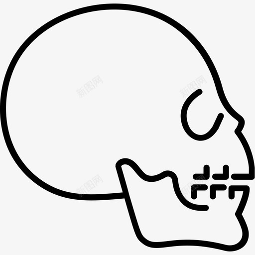 解剖学生物学医学svg_新图网 https://ixintu.com 解剖学 生物学 医学 科学 头骨