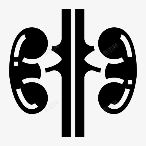 肾脏医学器官svg_新图网 https://ixintu.com 器官 肾脏 医学 泌尿 人体 实体 实体图 图标