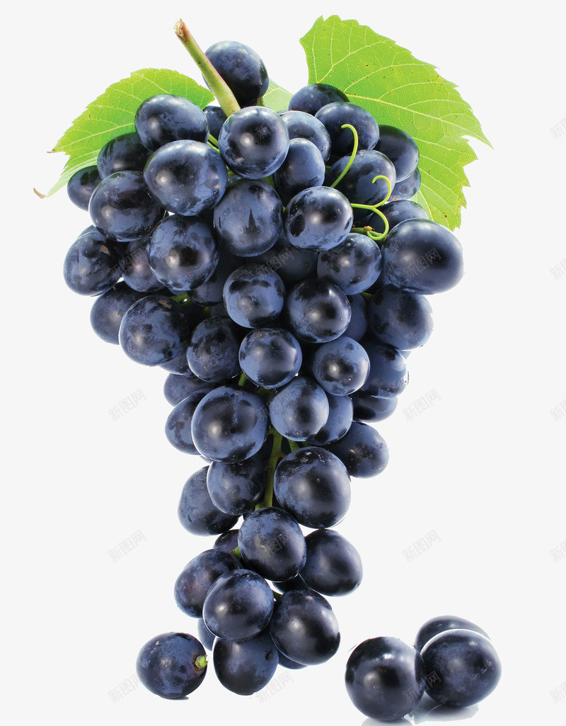 紫葡萄绿葡萄酒水果灬小狮子灬果蔬苹果水果透明梨葡萄png免抠素材_新图网 https://ixintu.com 葡萄 水果 葡萄酒 小狮子 果蔬 苹果 透明