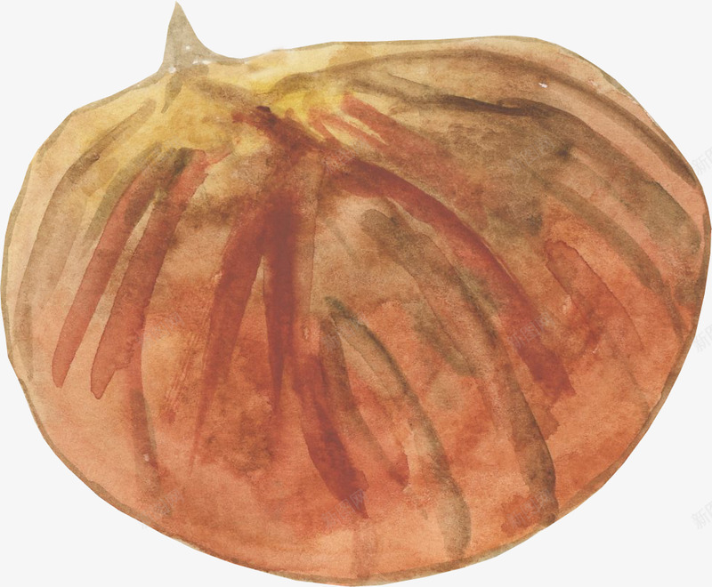 手绘水彩坚果动植物壁纸动植物壁纸png免抠素材_新图网 https://ixintu.com 动植物 壁纸 手绘 水彩 坚果