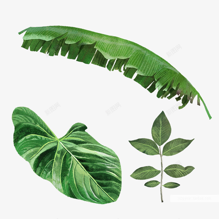 手绘热带绿色植物树叶合成涂设计png免抠素材_新图网 https://ixintu.com 手绘 热带 绿色植物 树叶 合成 设计