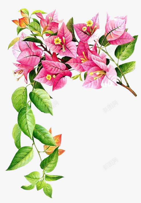 PS史上最全的花类透明293Pps吧百度贴吧花朵小png免抠素材_新图网 https://ixintu.com PS 史上 最全 花类 透明 293Pps 百度贴吧 花朵