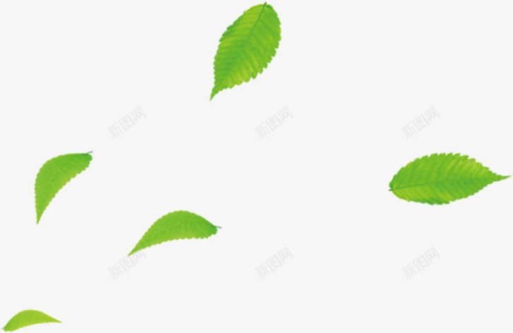 绿色叶子漂浮装饰壁纸装饰壁纸png免抠素材_新图网 https://ixintu.com 装饰 壁纸 绿色 叶子 漂浮