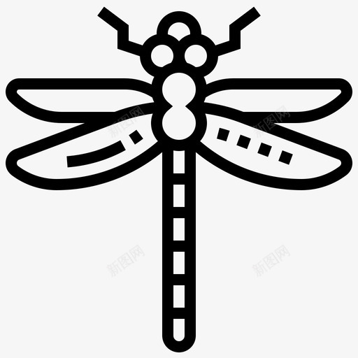 蜻蜓动物群昆虫svg_新图网 https://ixintu.com 蜻蜓 昆虫 动物群 自然