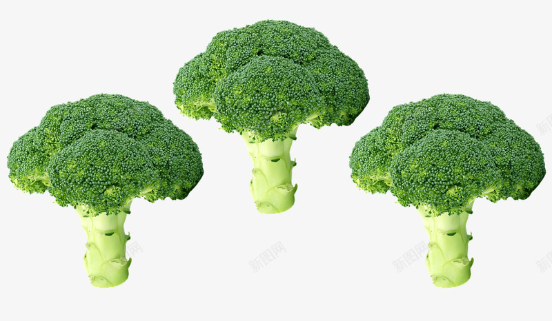 西兰花蔬菜绿色有机沙拉食品厨师成份花椰菜素食主义者png免抠素材_新图网 https://ixintu.com 西兰 兰花 蔬菜 绿色 有机 沙拉 食品 厨师 成份 花椰菜 素食