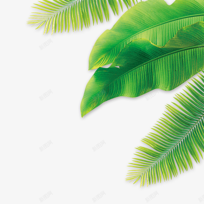 沙滩海边夏日免扣夏季免扣画板精细划png_新图网 https://ixintu.com 免扣 夏季 夏日 沙滩 海边 画板 精细
