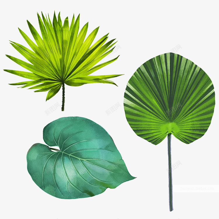 手绘热带绿色植物树叶合成涂设计png免抠素材_新图网 https://ixintu.com 手绘 热带 绿色植物 树叶 合成 设计