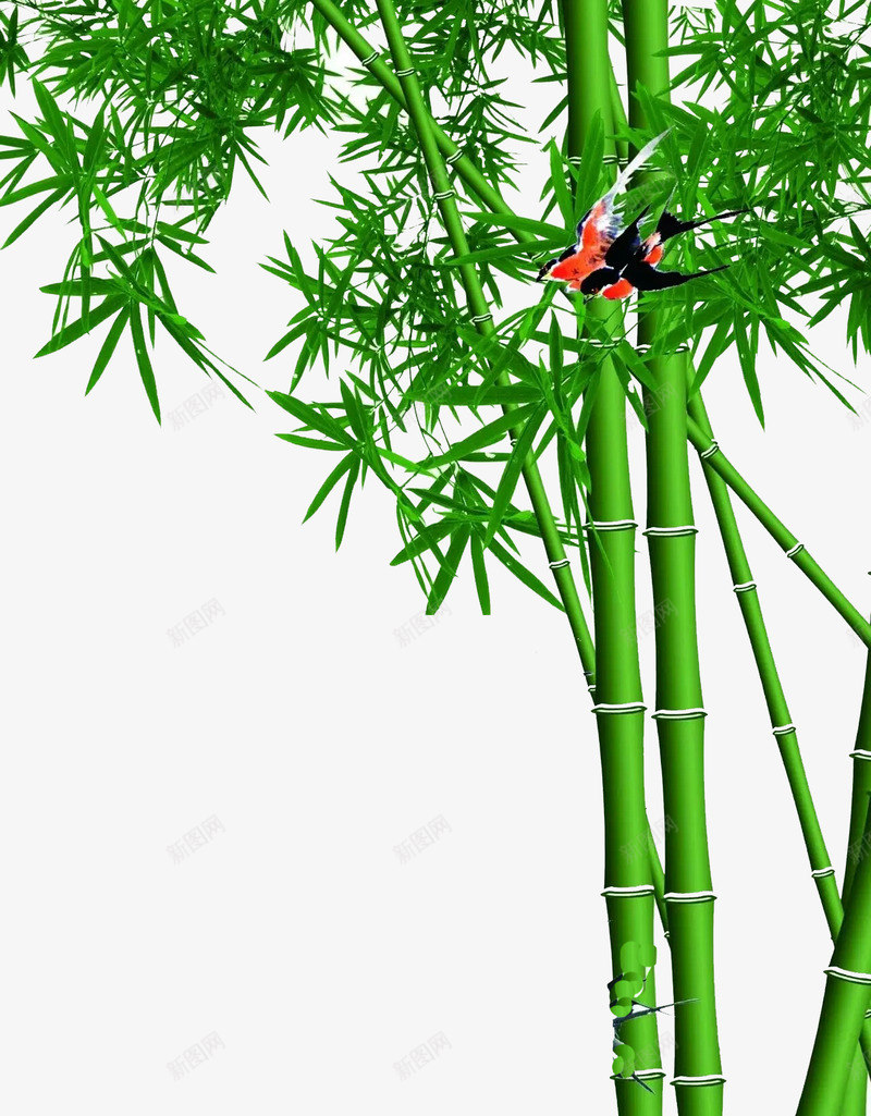 竹子绿色图海报网页创意广告灵感网店装修促销电商淘宝png免抠素材_新图网 https://ixintu.com 竹子 绿色 海报 网页 创意 广告 灵感 网店 装修 促销 电商