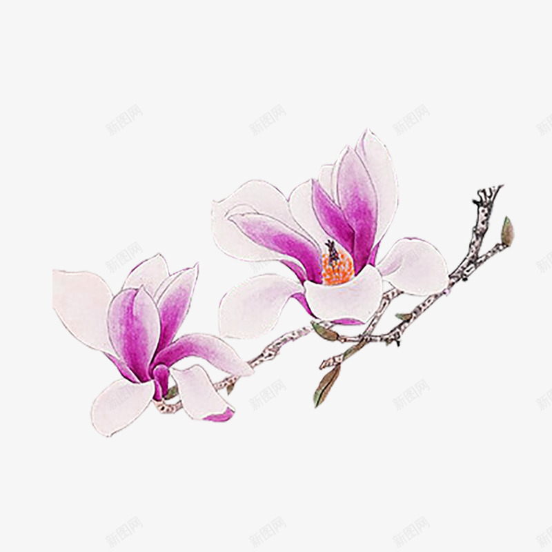手绘花卉传统绘画动植物壁纸动植物壁纸png免抠素材_新图网 https://ixintu.com 动植物 壁纸 手绘 花卉 传统 绘画