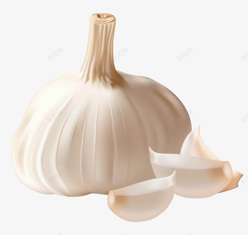 免扣蔬菜大蒜ABC输入法食物png免抠素材_新图网 https://ixintu.com 免扣 蔬菜 大蒜 ABC 输入法 食物