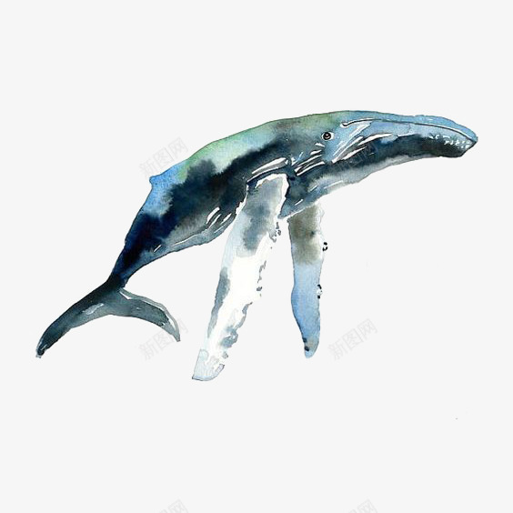 水彩手绘童话海洋鲸鱼卡通装饰PS透明高清67水彩手png免抠素材_新图网 https://ixintu.com 水彩 手绘 童话 海洋 鲸鱼 卡通 装饰 PS 透明 高清