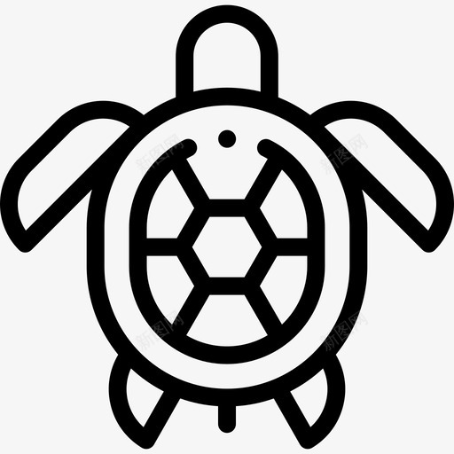 海龟动物107直系svg_新图网 https://ixintu.com 海龟 动物 直系