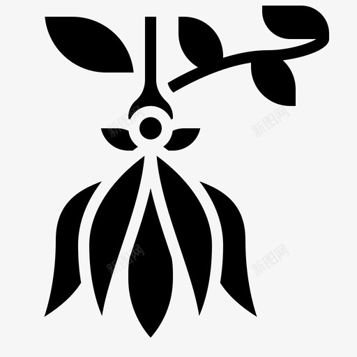 依兰卡南加花svg_新图网 https://ixintu.com 依兰 南加 芳香 热带 字形